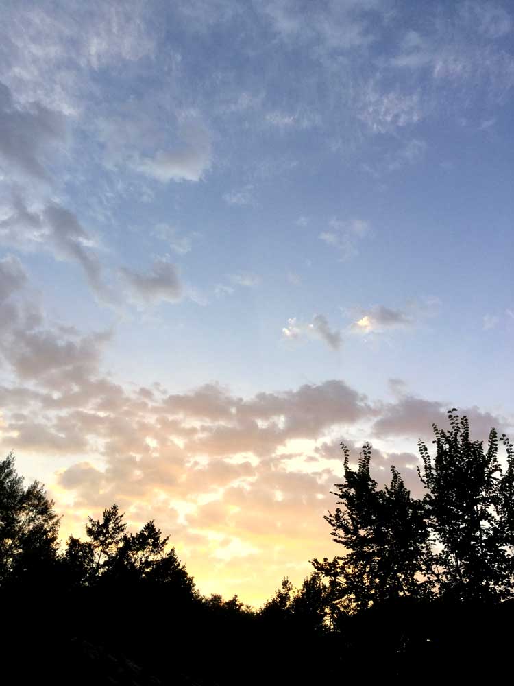 rigastrocca del cielo