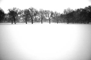 aforisma sulla natura