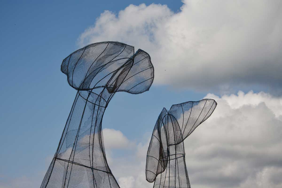 rigastrocca fantasia