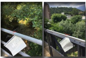 presemina Poesia 2019