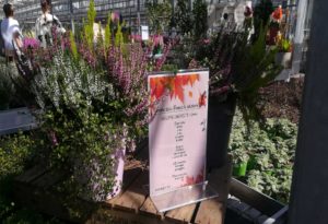 Semina della Poesia 1 edizione 2019