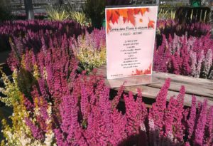 Semina della Poesia 1 edizione 2019