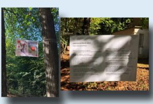 Semina della Poesia 1 edizione 2019