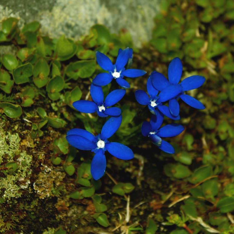 Poesia "Volerti bene"