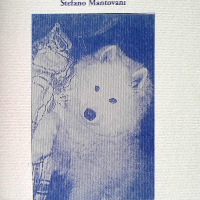 essenze di gioia copia