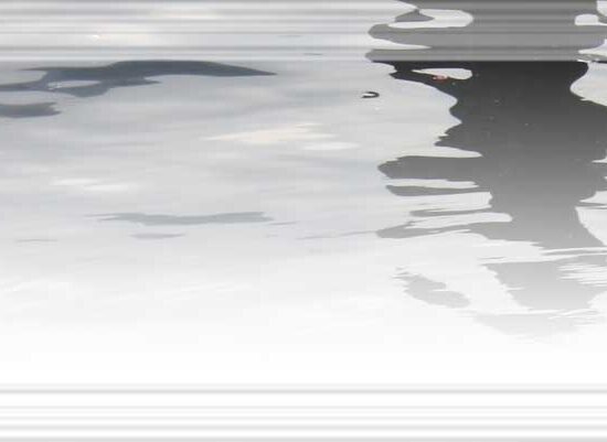 mare