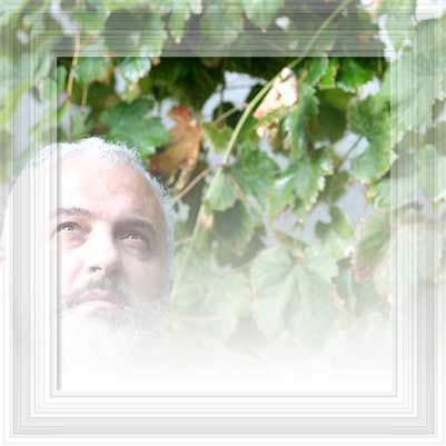 Mantova via Alda Merini