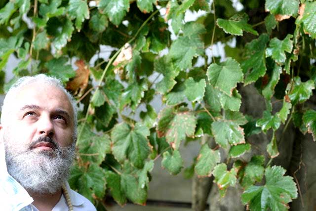 Mantova via Alda Merini