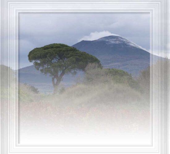 voglio portarti con me