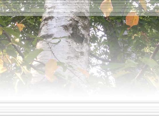 Ungaretti e Mantovani