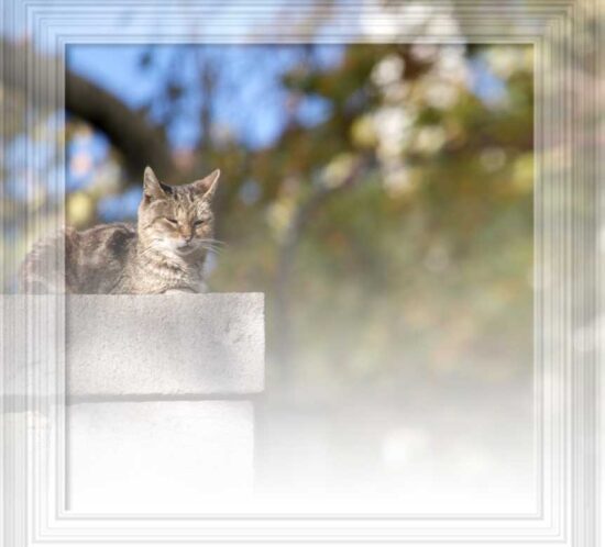 pensieri belli dal 2019