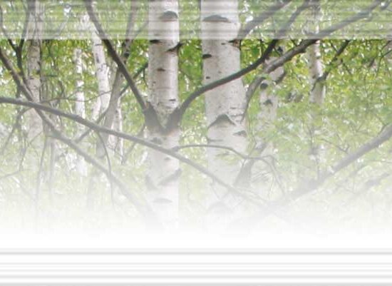 il naso di Pinocchio