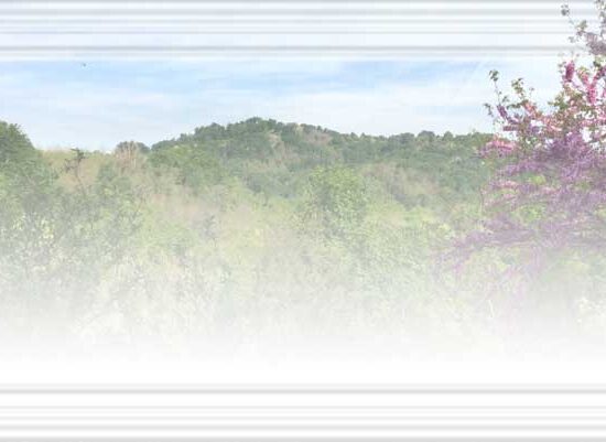 Le persone che si amano