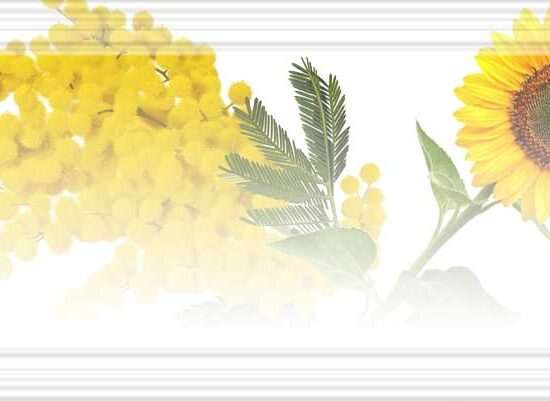 "LOTTO Marzo il primo Luglio"