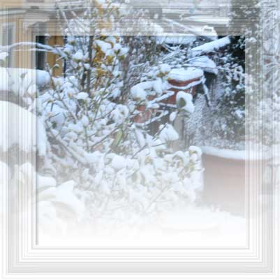 Questa neve questo mare