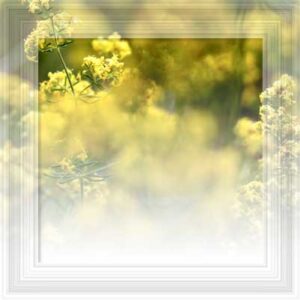 il mio tempo migliore