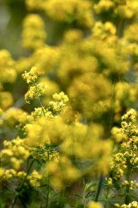 il mio tempo migliore