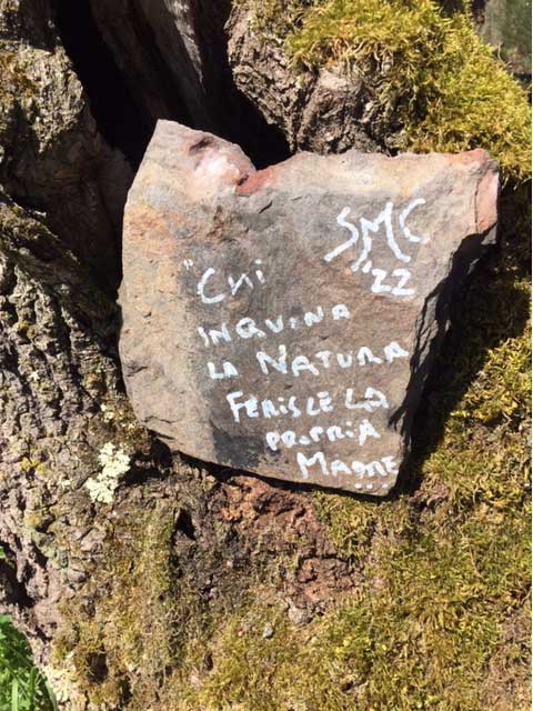 particolare-aforisma natura Madre