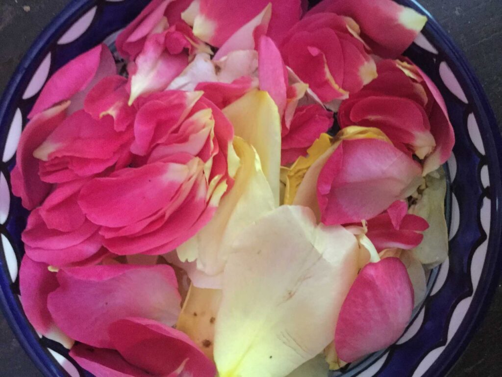 coriandoli coriandoli