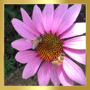 Come se fosse pioggia